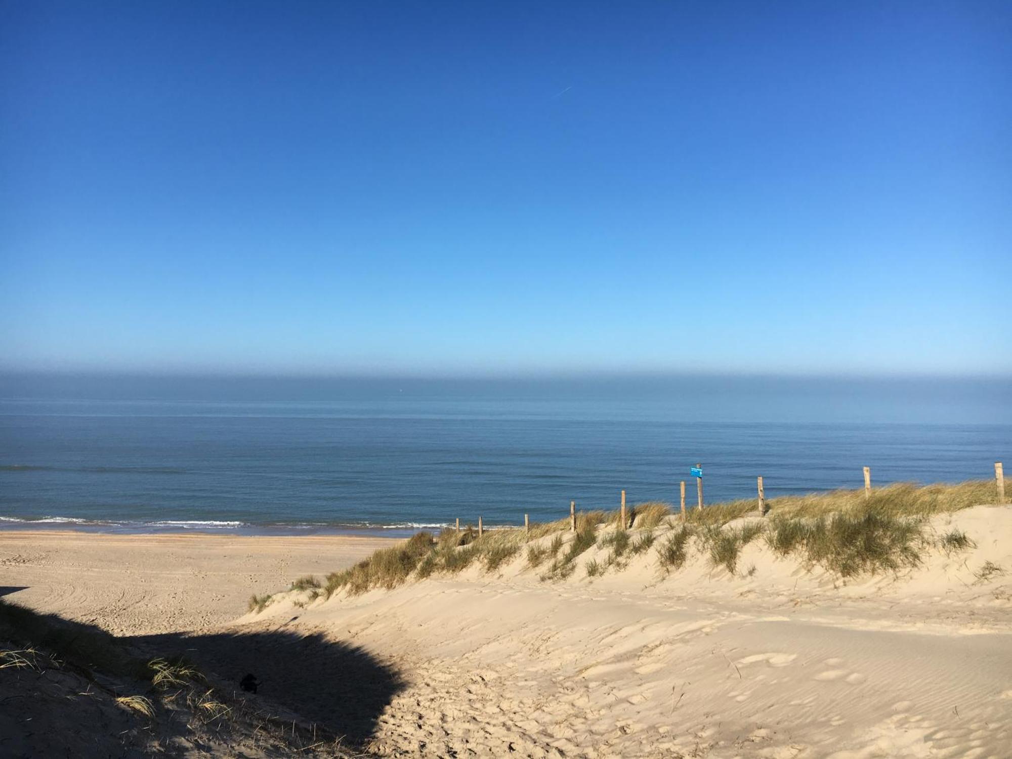 Eco Lodge Duin- Unieke Locatie -Strand, Duin En Nabij Cultuursteden Castricum Exterior foto