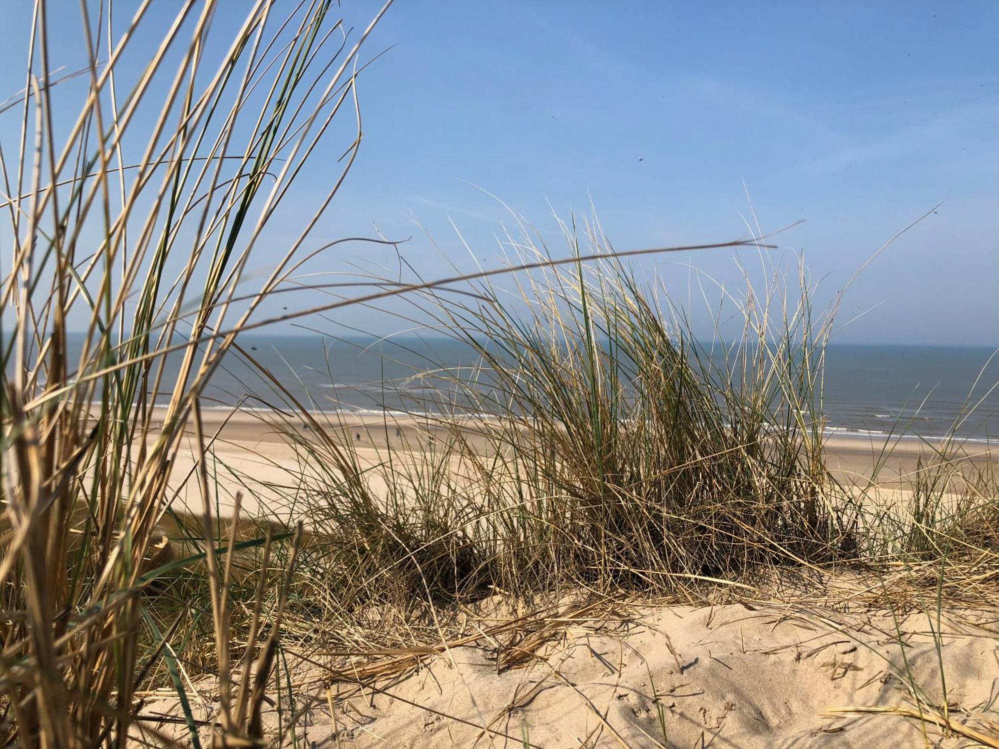Eco Lodge Duin- Unieke Locatie -Strand, Duin En Nabij Cultuursteden Castricum Exterior foto